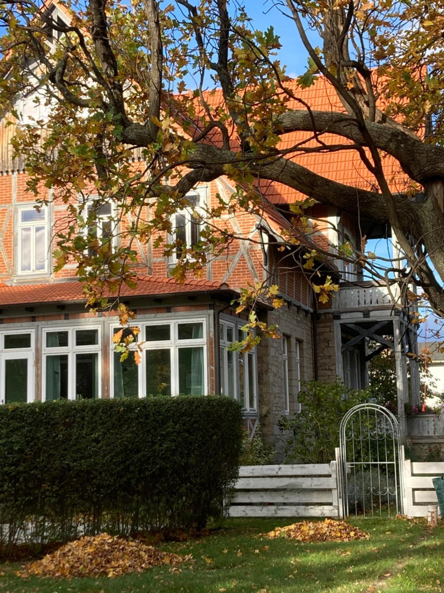 Gaestehaus Musestieg Thale Dış mekan fotoğraf