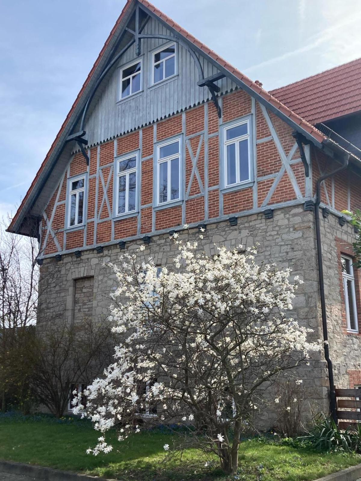 Gaestehaus Musestieg Thale Dış mekan fotoğraf